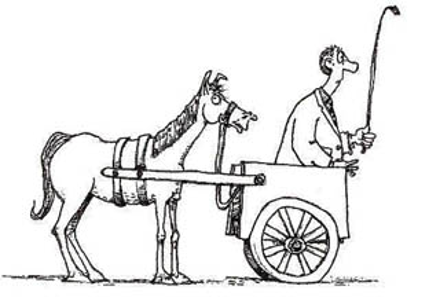 cart-before-horse